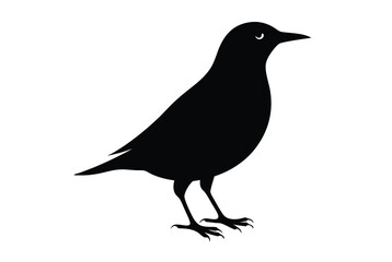 Obraz premium starlingsilhuette---vector-art-illustriton-white-b.eps