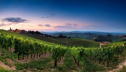 Fototapeta premium Barbaresco vineyards at dusk
