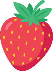 Strawberry fruit vector illustration on white background.