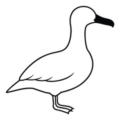 Albatross line art vector isolated on white background