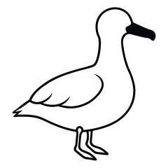 Albatross line art vector isolated on white background