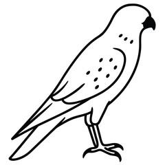 American Kestrel line art vector isolated on white background