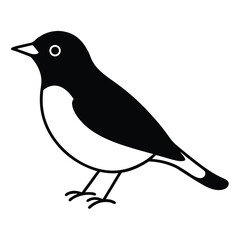 American Robin line art vector isolated on white background