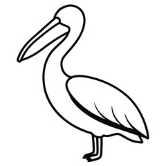 Pelican line art isolated on white background 