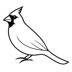 Cardinal line art isolated on white background