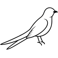 Cuckoo line art isolated on white background 