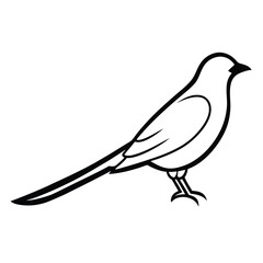 Cuckoo line art isolated on white background 