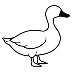 Duck line art isolated on white background 