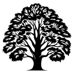 Obraz premium A Silhouetted Tree in Full Foliage with Many Branches and Leaves