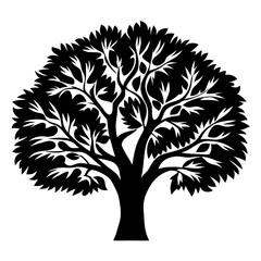 Silhouette of a Majestic Tree with Full Foliage and Branching Structure