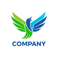 Colorful bird logo with open wings design concept