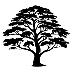 Silhouette of a tree with an intricate canopy isolated on white background