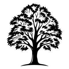 Black silhouette of a deciduous tree with dense foliage on white background