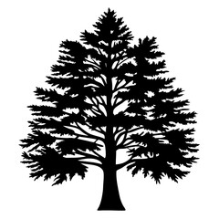 Obraz premium Striking Black Silhouette of a Mature Pine Tree on White Background