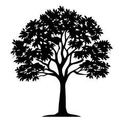 Silhouette of a Majestic Tree with Dense Foliage Against a White Background
