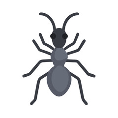 Simple Ant Graphic Vector on Black Background Illustration