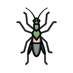 Cartoon Green Cricket Insect Vector on Black Background