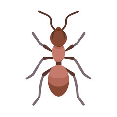 Simple vector illustration of a brown ant insect