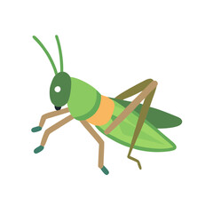 Stylized Green Grasshopper Illustration on Black Background