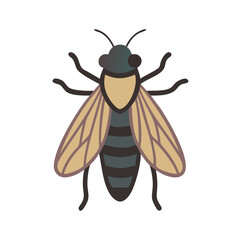 Cartoon Fly Icon Illustration, vector, on Black Background