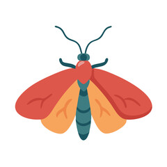 Colorful Cartoon Moth Illustration Isolated on Black Background