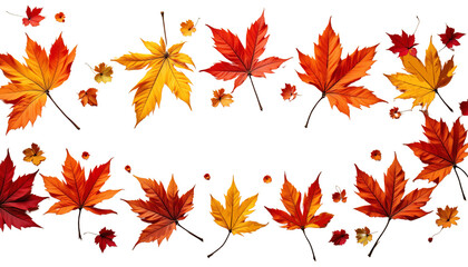 Obraz premium Colorful autumn leaves arrangement.