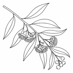 One line drawing of leaves, branches, flowers