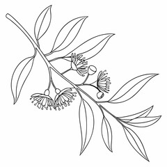 One line drawing of leaves, branches, flowers