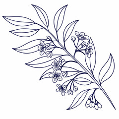 One line drawing of leaves, branches, flowers