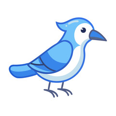 Cartoon Blue Jay Illustration with Black Background