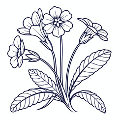 hand drawn flowers