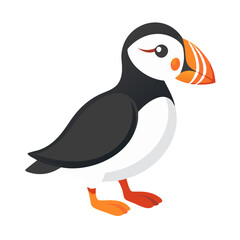 Cartoon Atlantic Puffin Bird Standing on Black Background