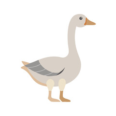 Obraz premium Illustration of a Goose Isolated on Black Background