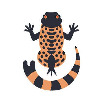 Cartoon Gila Monster Illustration on Black Background