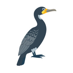 Isolated Vector Illustration of Cormorant Bird on Black Background