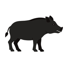 Isolated Dark Silhouette of Wild Boar on Black
