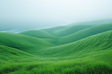 Rolling green hills covered in grass with fog or mist in the background.
