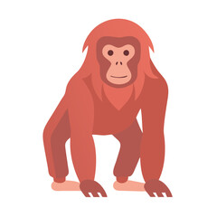 Simple Orangutan Illustration, Mammal, Monkey, Cute Animal © Xihan