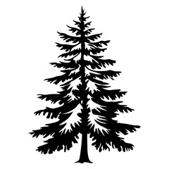Black Silhouette of an Evergreen Tree on White Background with Dense Branches