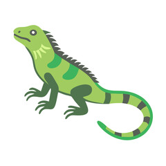 Green Iguana Vector Illustration on Isolated Black Background