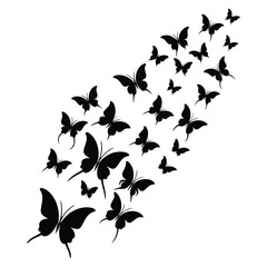 Silhouette of Many Butterflies Flying in a Stream