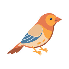 Cute vector illustration of a colorful sparrow bird