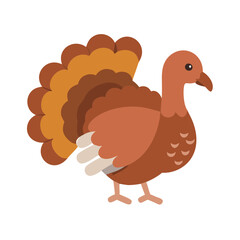 Cartoon Turkey Illustration for Thanksgiving Day Celebrations