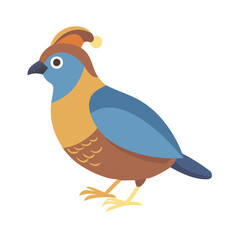 Colorful Quail Illustration on Black Background