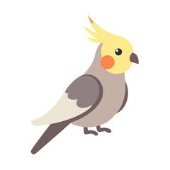 Cartoon Cockatiel Illustration on Black Background for Stock