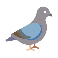 Simple Cartoon Pigeon Illustration on Black Background