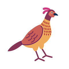 Stylized Pheasant Illustration on Black Background, Vector Design