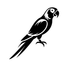 A vibrant macaw parrot, a wild vector illustration, this vector illustration of nature and wildlife 