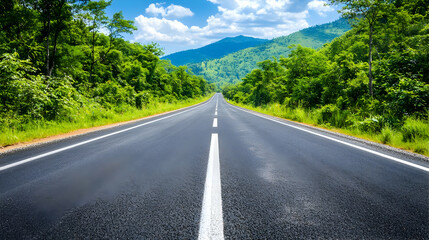 Scenic Country Road Through Lush Forest