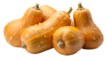 A group of fresh butternut squashes with water droplets against on transparent background png